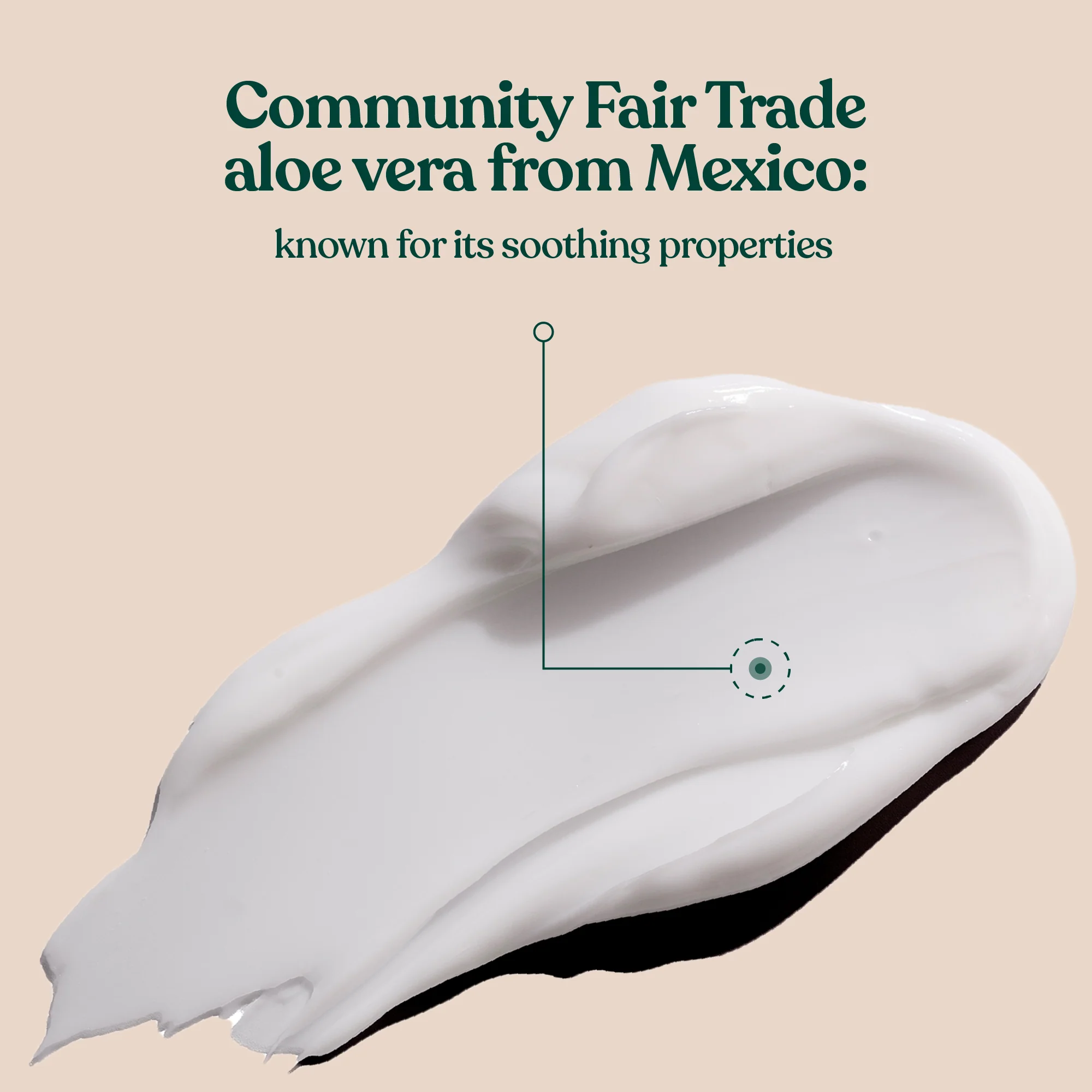 Aloe Soothing Day Cream - Image 5