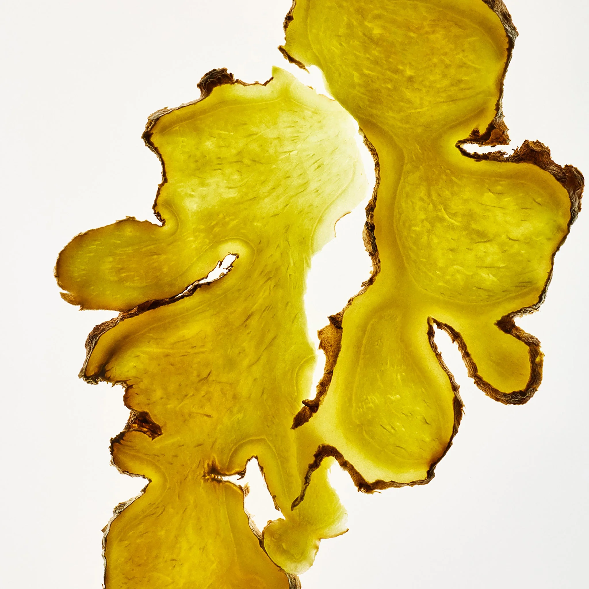 Ginger Scalp Care Conditioner - Image 4